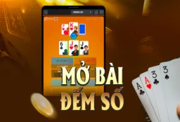 11BET Hilo